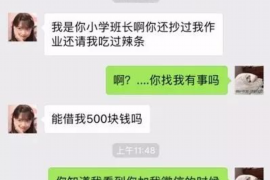 洛南如何避免债务纠纷？专业追讨公司教您应对之策